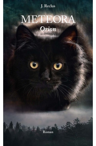 METEORA Orion PDF