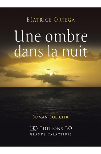 Une Ombre dans la Nuit