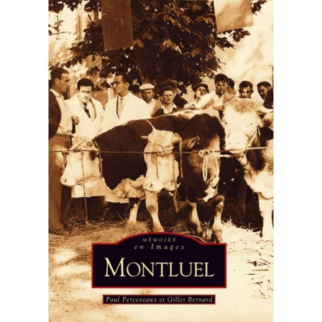 Montluel Recto