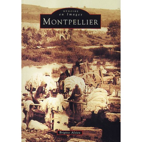 Montpellier Recto